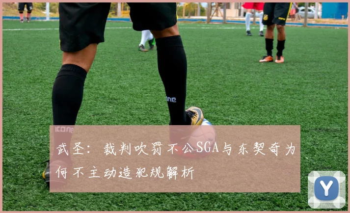 武圣：裁判吹罚不公SGA与东契奇为何不主动造犯规解析