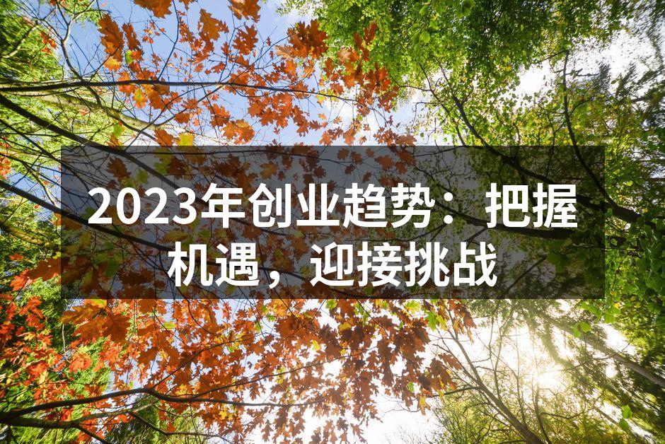 2023年创业趋势：把握机遇，迎接挑战