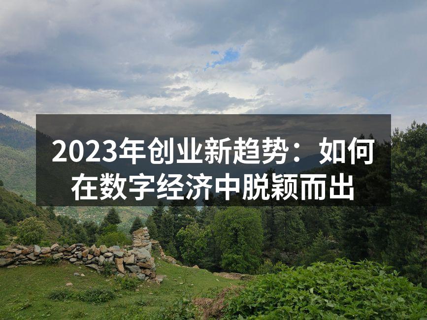 2023年创业新趋势：如何在数字经济中脱颖而出