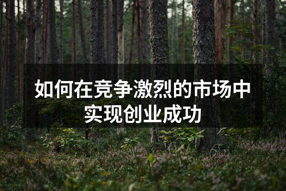 如何在竞争激烈的市场中实现创业成功